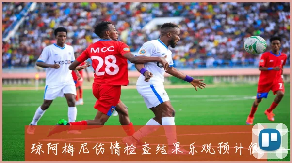 琼阿梅尼伤情检查结果乐观预计很快恢复参加比赛