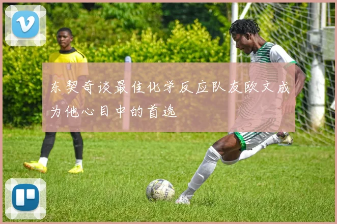 东契奇谈最佳化学反应队友欧文成为他心目中的首选